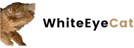 WhiteEyeCat – Not a clone PumpFun Meme Token